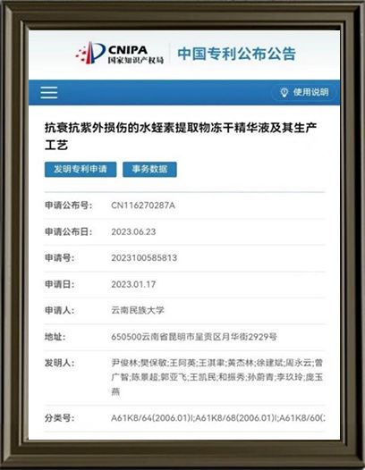 抗衰抗紫外損傷的水蛭素提取物凍干精華液及其生產工藝